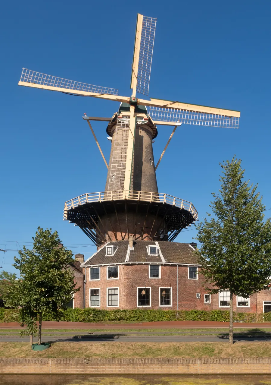Molen De Roos tegen een blauwe lucht.